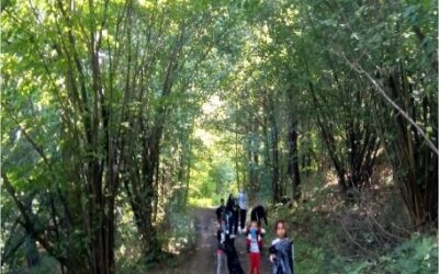 A jdeme na to zas…….. akce Vyčisti les